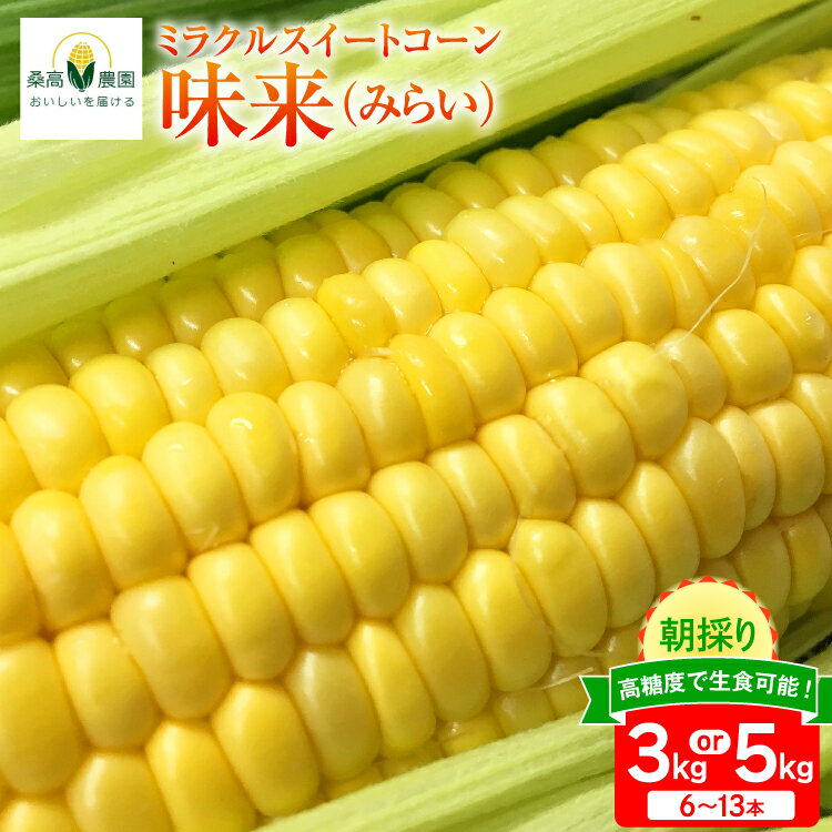 【ふるさと納税】【期間限定発送】【糖度平均18度以上】 とうもろこし 朝どれミラクルスイートコーン「味来」3kg箱 6～8本 or 5kg箱 10～13本 [桑高農園 静岡県 吉田町 22424600] コーン トウモロコシ スイートコーン 朝採り 朝採れ 甘い