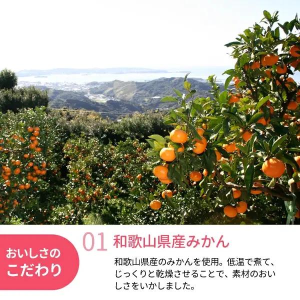 和歌山県産 ドライフルーツ  みかん  22g×2袋 / みかん おやつ 小腹 お菓子 健康【kng027-1】