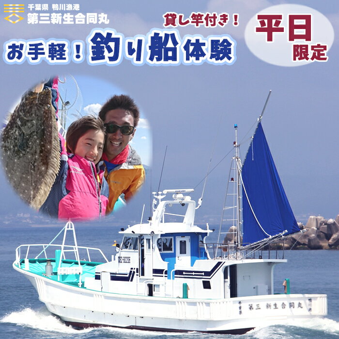 【ふるさと納税】【第三新生合同丸】お手軽！釣り船体験コース《平日限定》2～6時間／1～3名様　[0027-0005]