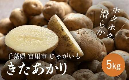 【2025年5月上旬より順次配送】じゃがいも「きたあかり」5kg 【 ふるさと納税 人気 おすすめ ランキング きたあかり じゃがいも ジャガイモ 芋 採れたて 産地直送 千葉県 富里市 送料無料 】TME009