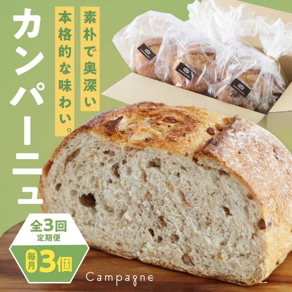 【ふるさと納税】カンパーニュ 【全3回定期便】【冷凍】3種セット (プレーン・いちじく・五穀) おすすめ 人気 定期便 パン 詰め合わせ 食べ比べ 天然酵母 ベーカリー ハードパン 愛媛県大洲市/株式会社アライ 冷凍パン ハードパン 食事パン 朝食 ベーカリー 冷凍[AGAY051]
