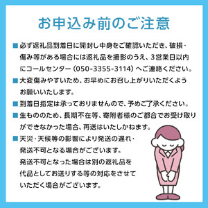 [HS]9月・10月発送 シャインマスカット 晴王 1房 約550g ｜ シャインマスカット