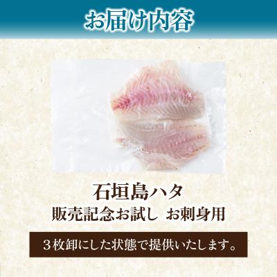 ふるさと納税 石垣市 石垣島 ハタ 販売記念お試しお刺身用 | ミーバイ ヤイトハタ |  | 03
