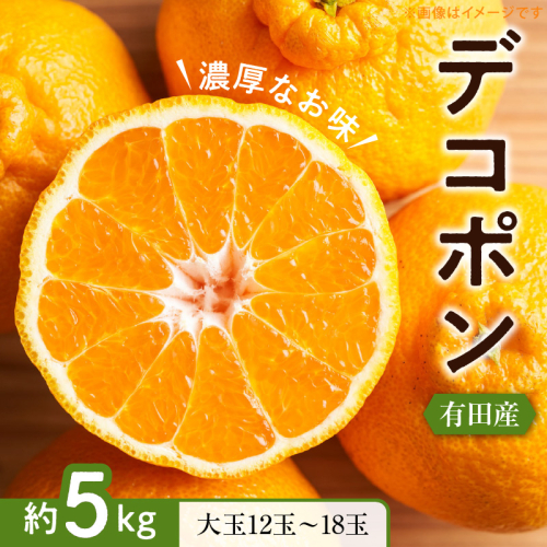 【2027年先行予約】【お味濃厚】紀州有田産 の 大玉 デコポン 5kg (12玉～18玉入り・青秀以上)_ZD7000