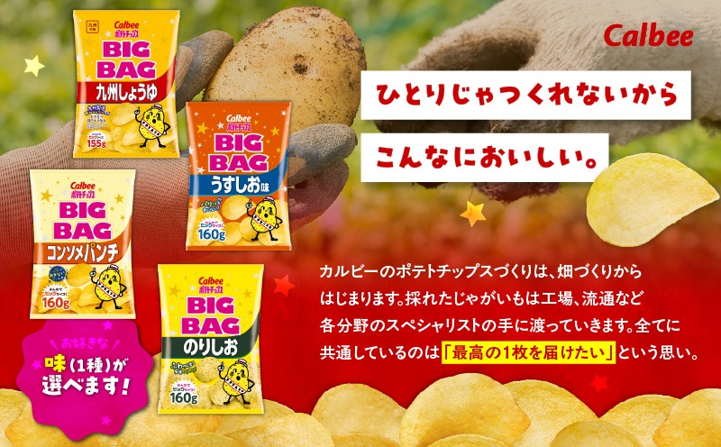 ＜味が選べる！＞カルビーポテトチップス（BIGBAG）12袋 　K194-002_b