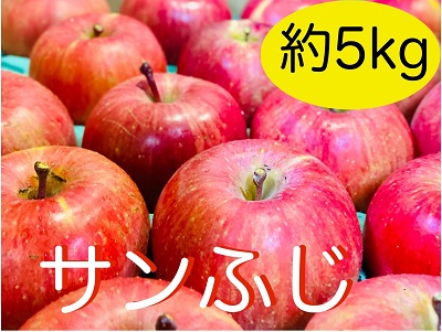 【先行予約】サンふじ【約5kg（11?20個】(N-1.5)