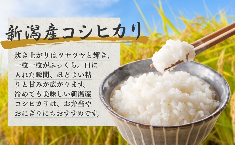R7年産米 新潟産コシヒカリ5kg