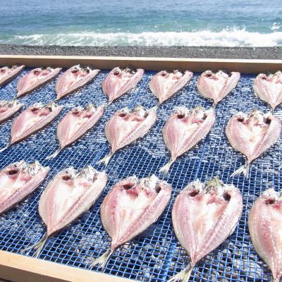 ふるさと納税 熊野市 海の恵み　干物詰め合わせC(3回発送) |  | 01