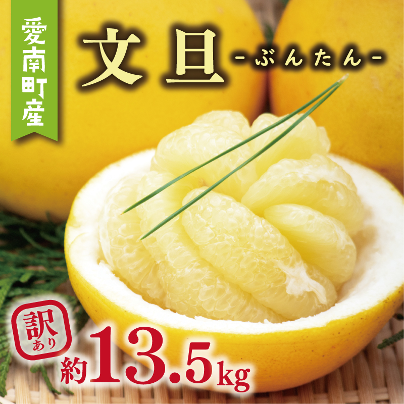 訳あり 文旦 13.5kg 13000円 ぶんたん みかん mikan 蜜柑 ミカン わけあり 家庭用 産地直送 国産 農家直送 糖度 期間限定 数量限定 特産品 ゼリー ジュース アイス 人気 限定 甘い 果実 果肉 フルーツ 果物 柑橘 ビタミン 健康 美味しい おいしい ジューシー 小玉 含む サイズ ミックス 規格外 傷み補償 500g ミッチーのおみかん畑 愛南町 愛媛県