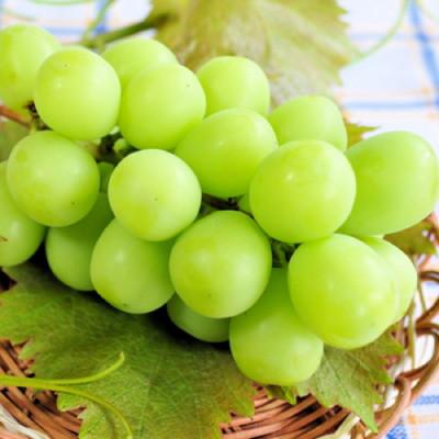 ふるさと納税 山梨市 【発送月固定定期便】やまなし旬のフルーツ定期便(桃・シャインマスカット)【M】全2回 |  | 02