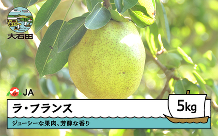 ラ・フランス 洋梨 ラフランス 秀 約5kg 2025年産 果物 フルーツ 果樹 ja-laxxx5 ※沖縄・離島への配送不可