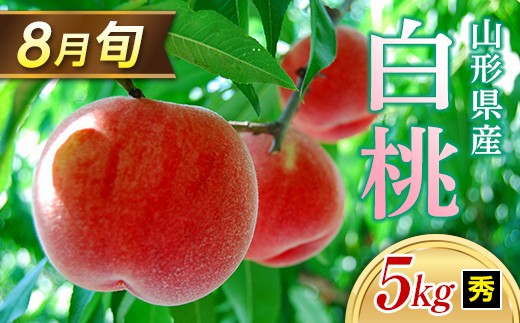 
                  ≪2026年 先行予約≫ 8月旬の白桃 5kg 秀（20～22玉）  もも モモ 桃 デザート フルーツ 果物 くだもの 果実 食品 山形県 FSY-1328
                