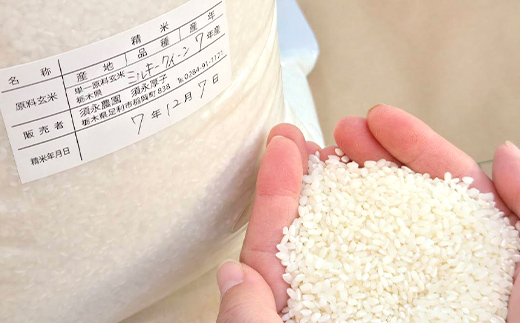 令和7年産 栃木県足利市産ミルキークィーン10kg〈5kg×2袋〉 精米 白米 米 こめ ごはん 食品 栃木県 足利市  F7Z-1976