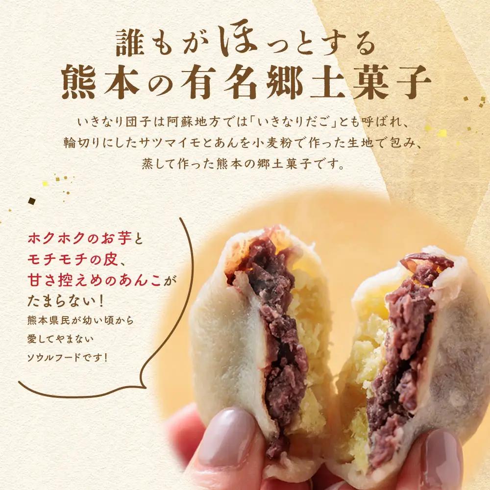 熊本郷土菓子 いきなりだんご 4種食べ比べセット