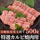 【ふるさと納税】黒毛和牛 特選 カルビ 焼肉 500g [アグリ産業匠泰 宮崎県 美郷町 31be0024] 牛肉 炒め BBQ バーベキュー キャンプ 普段使い 調理 おかず 料理 国産 送料無料 パック 厳選 カルビ丼 クッパ 焼肉丼 スープ チャーハン 生春巻き マリネ 照り焼き 甘辛炒め