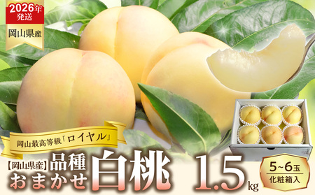 【令和８年発送分】岡山県産 白桃「ロイヤル」1.5kg（令和8年7月から8月頃発送）【桃】