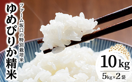 令和7年産！ファーム坂口の特別栽培米 ゆめぴりか精米 10kg (5kg×2袋)
