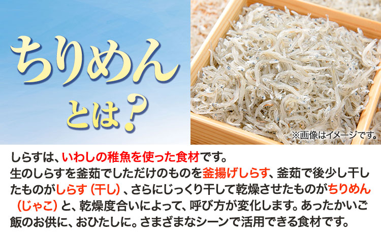 ちりめん (化粧箱) 600g 大五海産《60日以内に出荷予定(土日祝除く)》 和歌山県 日高町 ちりめん