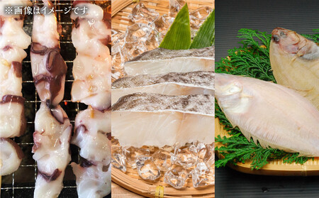 カネオ成栄丸のおまかせお魚BOX 海月(6種） ｜ お魚 お魚 お魚 お魚 お魚 