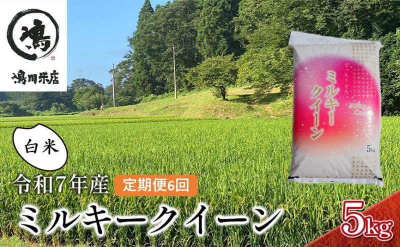 6ヶ月　定期便 令和7年  ミルキークィーン　白米　5kg×6ヶ月 お米 精米 ライス ご飯 ブランド米 おにぎり お弁当 和食 産地直送 モチモチ 粘り 冷めてもおいしい