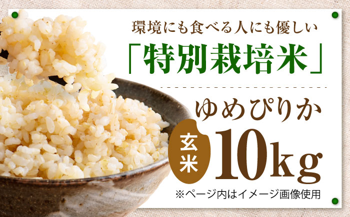 【令和7年産】伊藤農園の特別栽培米 ゆめぴりか 玄米 10kg  | 米 お米 特別栽培米 玄米 北海道産 ゆめぴりか | 伊藤農園 [BOAT005]