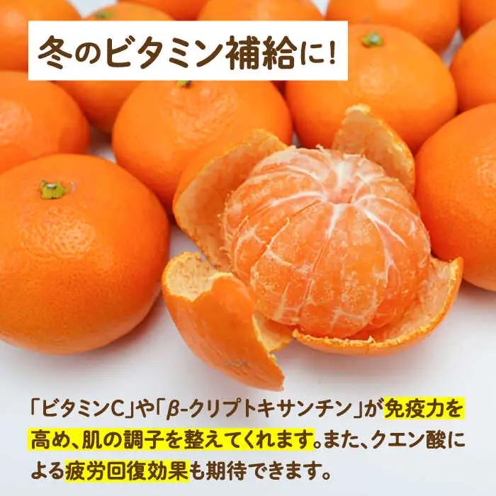 【2026年11月下旬-発送】温州みかん 約10kg（傷もの）南島原果物屋 [SCV015] みかん