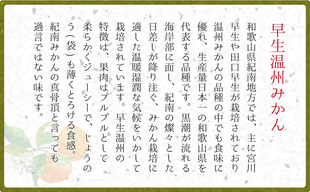 和歌山県産 早生温州みかん 秀品 Mサイズ 3kg [Sn2]