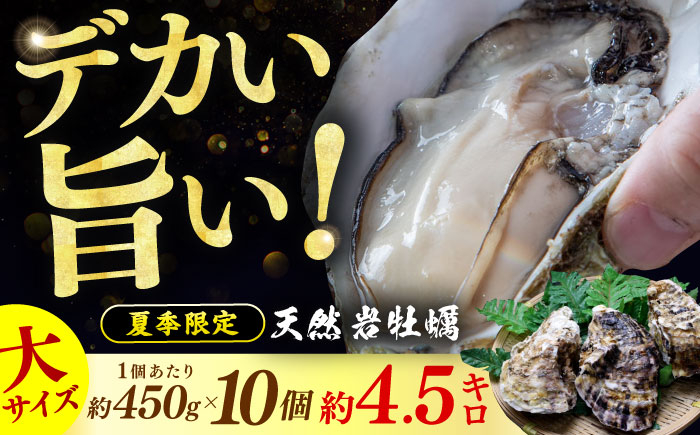 
            【先行予約 / 2026年6月下旬より順次発送】 若狭湾 生食用 天然岩牡蠣 大10個（軍手、牡蠣ナイフ付き） 小浜市 / 加福鮮魚【配送不可地域：北海道・沖縄・離島】 [BFBC010] 
          
