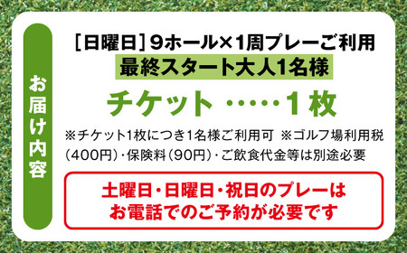 日曜大人1名最終スタートプレー券【(株)葉山産業】[ASAS008]