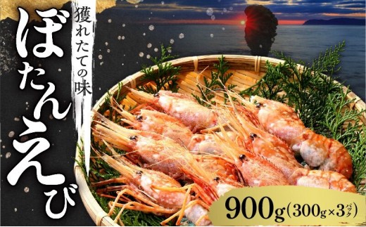 獲れたての味！北海道余市産 ボタンエビ 900g 300g×3パック 地元漁港直送 急速超低温冷凍 獲れたて 刺身用 生食可 国産 天然 牡丹海老 プリプリ食感 小分け 海の宝石 有頭 送料無料