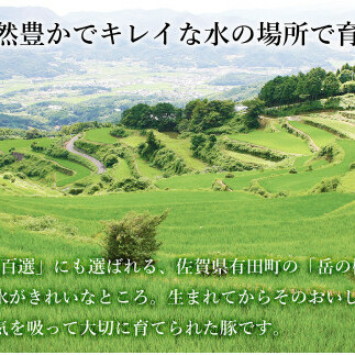 【6回定期便 豚肉6種セット】 ありたぶた バラエティAセット (豚肉6種) 6回 定期便 小分け 真空パック 豚肉 ロース バラ ウインナー ソーセージ ハンバーグ N80-1_イメージ3