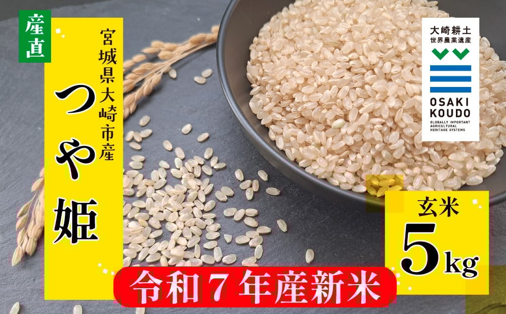 
            【令和7年産】宮城県大崎市古川産つや姫〈玄米〉5kg｜艶やかで甘み豊かな食味
          