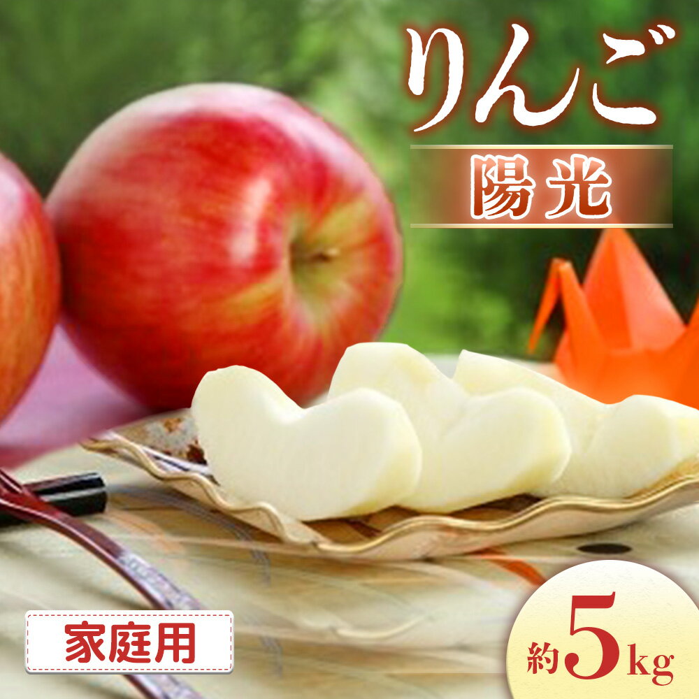 【ふるさと納税】＜先行予約＞りんご 陽光＜ご家庭用＞[10〜18玉]　※2025年10月中旬〜10月下旬発送※