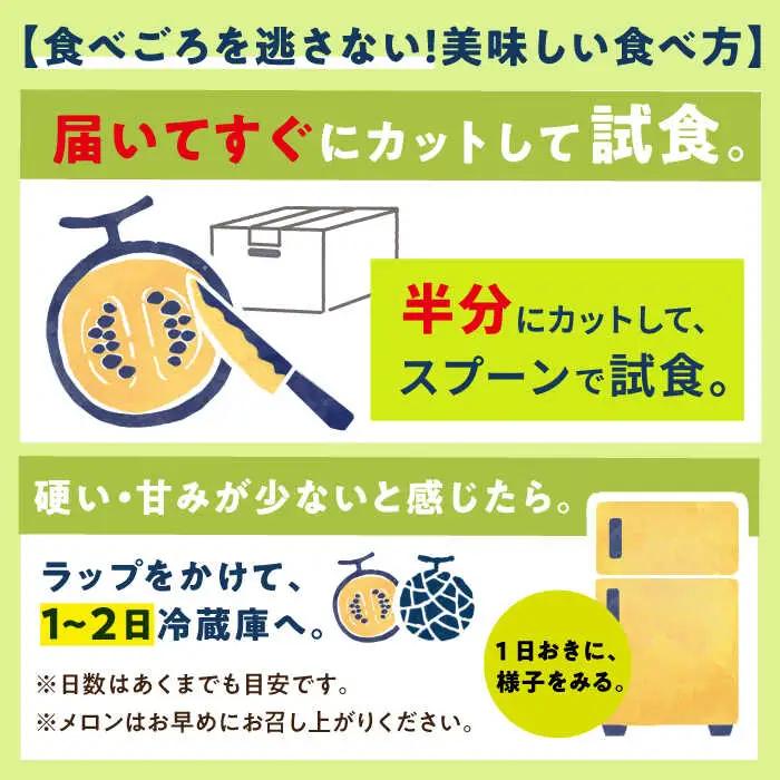 【先行予約】アールスメロン 約4kg 2玉 [DAT002] 12月発送 メロン