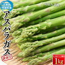 【ふるさと納税】 【先行予約】 【訳あり】 朝採れ新鮮アスパラ 1kg （S～2Lサイズ混合） 野菜 北海道産 バーベキュー BBQ キャンプ 旬野菜 ワケあり わけあり アスパラガス 栄養満点 冷蔵発送 F21W-304