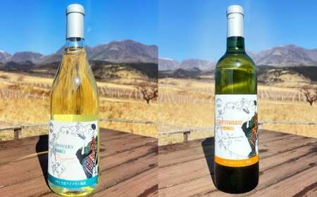 ラブルスカ系品種（ナイアガラ・デラウェア）2本セット