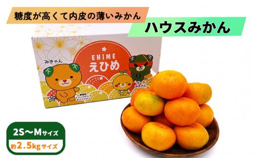 【7月下旬頃から順次発送】 ハウスみかん 2.5kg / 2S~Mサイズ 〇品 ご家庭用 みきゃん箱 | 愛媛県産 みかん 蜜柑 オレンジ 柑橘 果物 フルーツ 家庭用 お取り寄せ おすすめ 愛媛県 松山市
