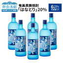 【ふるさと納税】奄美黒糖焼酎 はなとり 20度 720ml × 6本 セット 化粧箱入り ギフト 贈り物 酒 アルコール 黒糖 焼酎 蔵元 家飲み 宅飲み パーティ おすすめ お取り寄せ 送料無料