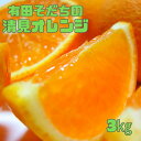 【ふるさと納税】 【2025年2月下旬～3月下旬順次発送予定】有田育ちの完熟清見オレンジ(ご家庭用)　約3kg