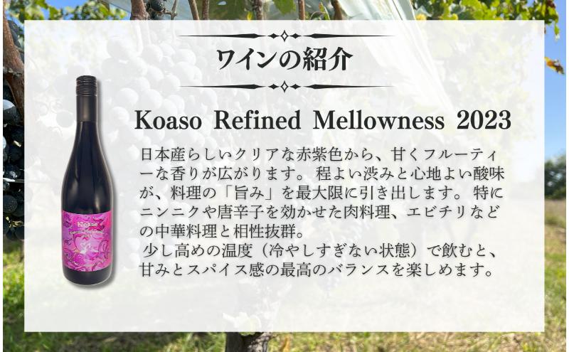 Koaso 長期熟成向き赤ワイン2023ヴィンテージ　2本セット ワイン 日本ワイン 赤 上田市