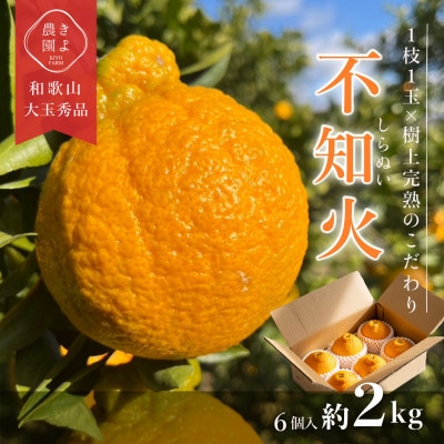 先行受付　不知火　希少な樹上完熟!　秀品大玉　6個入【1616657】