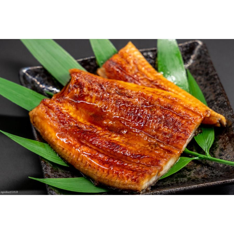 ＜静岡うなぎ漁業協同組合＞吉田町産　うなぎ蒲焼セット　カット8パック80g×8パック