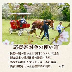 引退馬 余生支援 1,000,000円コース 返礼品なし 養老馬 競走馬 引退競走馬 馬支援 競馬 馬 うま ウマ 馬支援 動物 あしずりダディー牧場 高知県 土佐清水市【R01533】