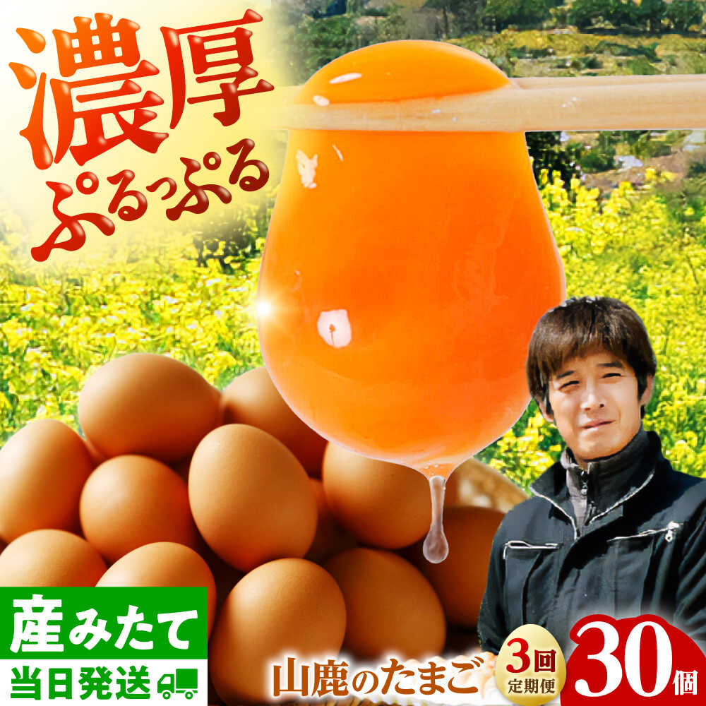 【ふるさと納税】【全3回定期便】 たまご 30個 約2kg【マツヤマエッグファーム】[ZAW006]