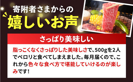 【全6回 定期便 】お肉 壱岐牛 焼き肉セット 500g 《 壱岐市 》 【ヤマグチ】[JCG055] 黒毛和牛 和牛 壱岐牛 モモ 焼き肉 焼肉 モモ 赤身 とろける ジューシー
 102000 1