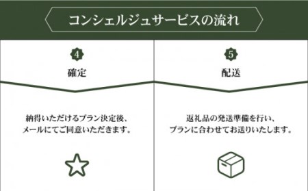 コンシェルジュ50万円プラン NZY001 