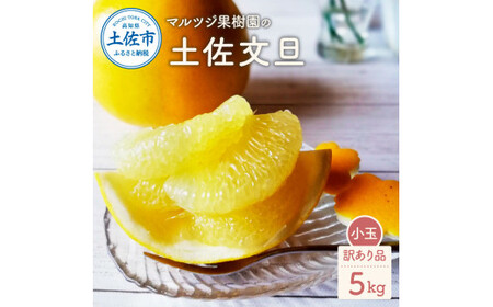 【先行予約】マルツジ果樹園の土佐文旦 訳あり品(小玉) 約5キロ 5kg M～Lサイズ 12～16個入り 〈2027年2月1日から3月31日頃発送〉ぶんたん ブンタン フルーツ 柑橘 みかん 果物 くだもの 柑橘類 デザート【マルツジ果樹園】[BQAN007]