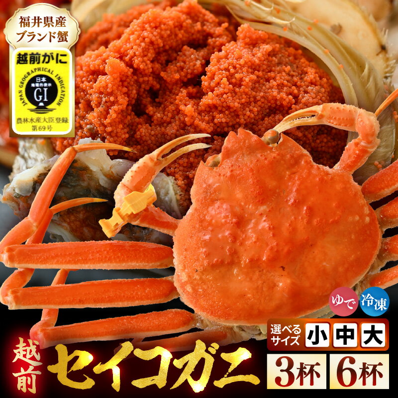 【ふるさと納税】【先行予約】【冷凍】 冬の味覚 旬！セイコガニ （越前がに）【選べる杯数・サイズ】 食べ方説明書付 【2026年11月中旬以降順次発送予定】 海鮮 かに 蟹 カニ ズワイガニ せいこがに せいこ蟹 セイコ蟹 越前ガニ むき身 かに味噌 地物 天然