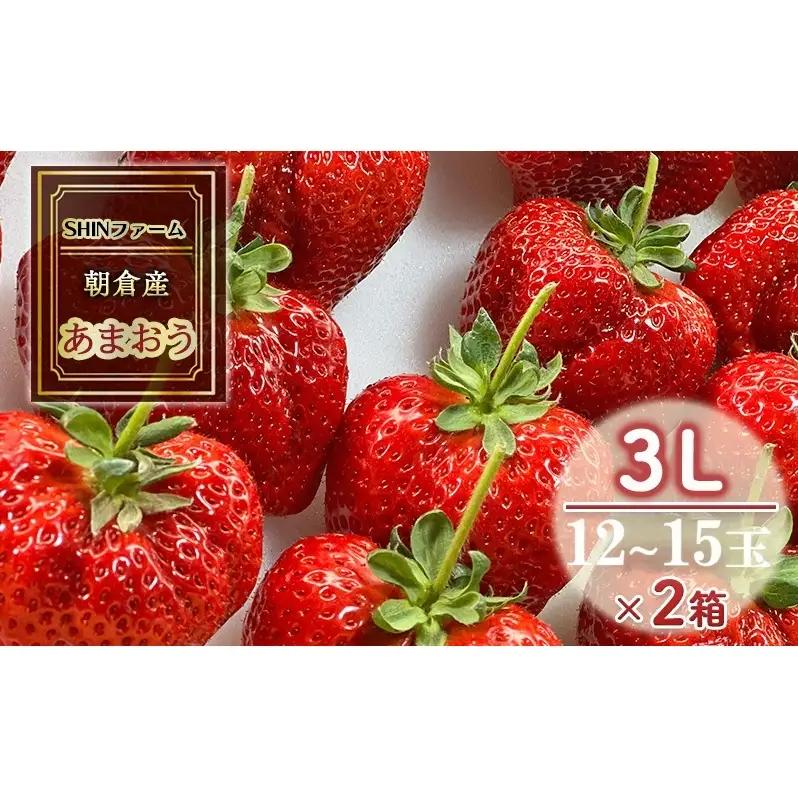 いちご 朝倉市産 あまおう 3L 12～15玉×2箱 いちご
