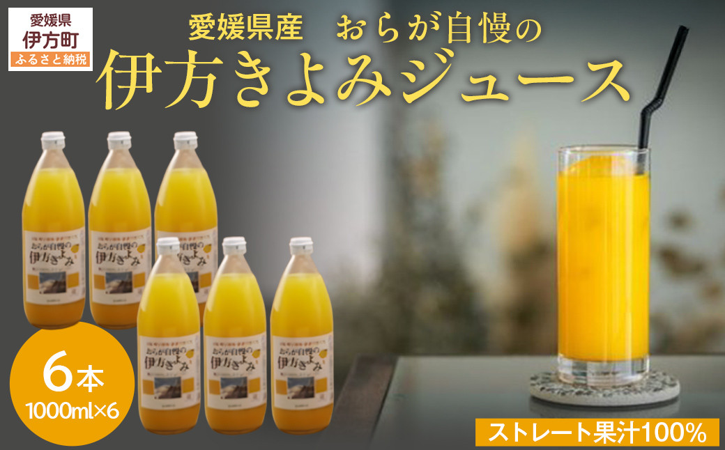 
            【先行予約】【愛媛県産】おらが自慢の伊方きよみジュース（1000ml×6本） ストレート果汁100％（2026年4月より順次発送） 【 ふるさと納税 人気 おすすめ ランキング みかん ミカン 蜜柑 ジュース みかんジュース ミカンジュース クリエイト伊方 愛媛県 伊方町 送料無料 】 KTI009 
          